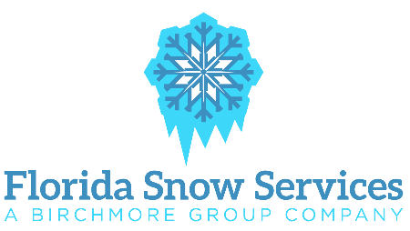 Tampa Snow Services